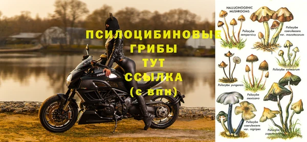соль ск Белокуриха