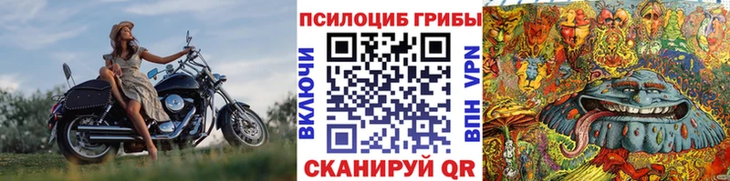 Галлюциногенные грибы прущие грибы  где купить   Щигры 